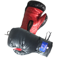 NIMBLE PAR DE GUANTE DE BOX JUVENIL