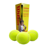WILSON PELOTA DE TENIS SIN PRECION  CAJA C/ 3 PIEZAS
