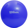 WILSON PELOTA PILATES  55 CM