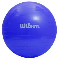 WILSON PELOTA PILATES  55 CM