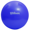 WILSON PELOTA PILATES  55 CM
