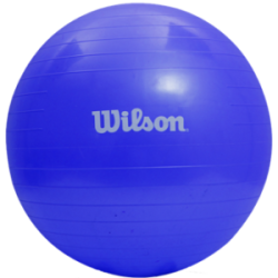 WILSON PELOTA PILATES  65 CM