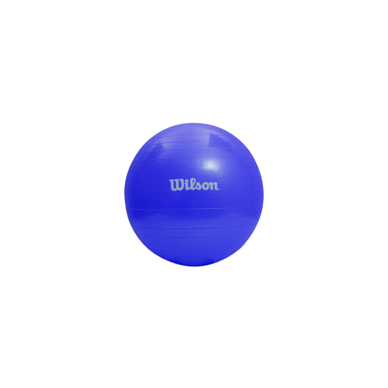 WILSON PELOTA PILATES  65 CM